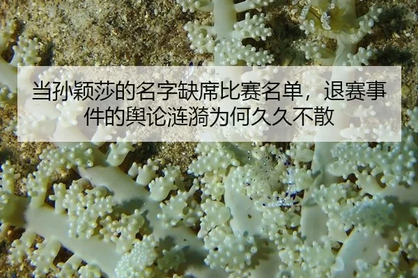 dang-sun-ying-sha-de-ming-zi-que-xi-bi-sai-ming-dan-tui-sai-shi-jian-de-yu-lun-lian-yi-wei-he-jiu-jiu-bu-san-2-342.jpg